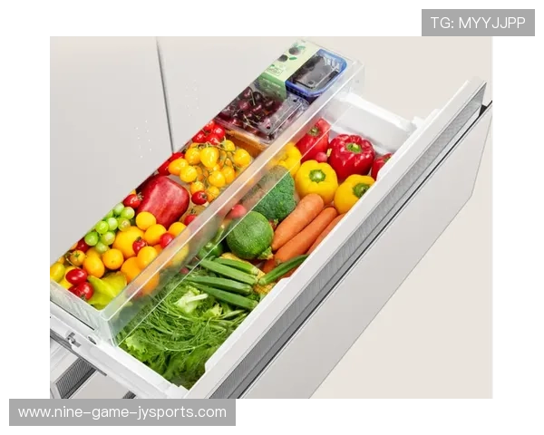 冰箱食材分类与科学保存方法提升食物新鲜度与营养价值